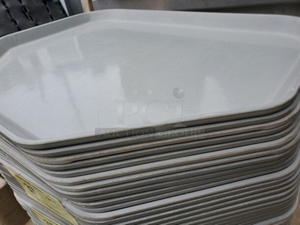 Plastic Tray  - Image 3 of 4