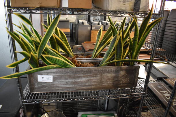 ALL ONE MONEY! Tier Lot of 2 Fake Plants - Image 2 of 3