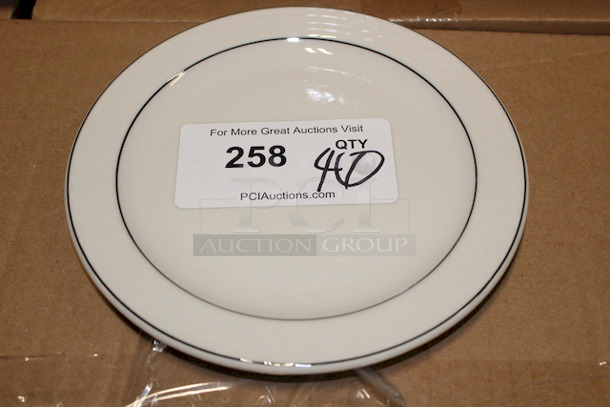 AWESOME! Sterling China Set of 40 Salad Plates, 8