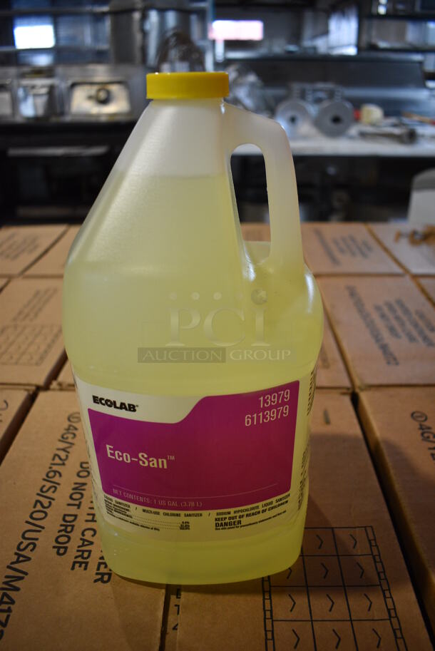 PALLET LOT of 24 BRAND NEW! Boxes of 4 Ecolab Eco-San Jugs. Total of 96 Jugs. 6x6x12. 24 Times Your Bid! - Image 1 of 3