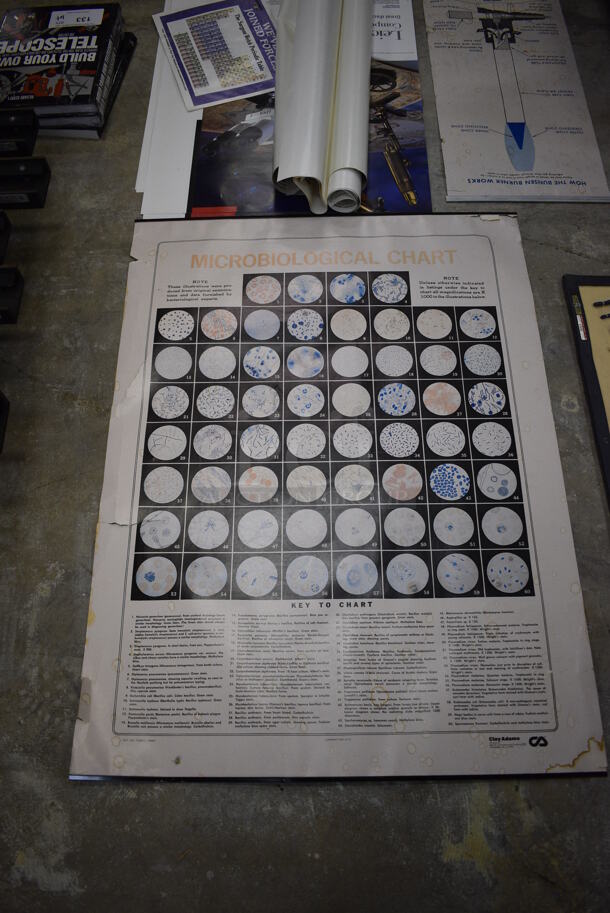 ALL ONE MONEY! Lot of Leica Science Learning Guides (Main Building) - Image 5 of 5