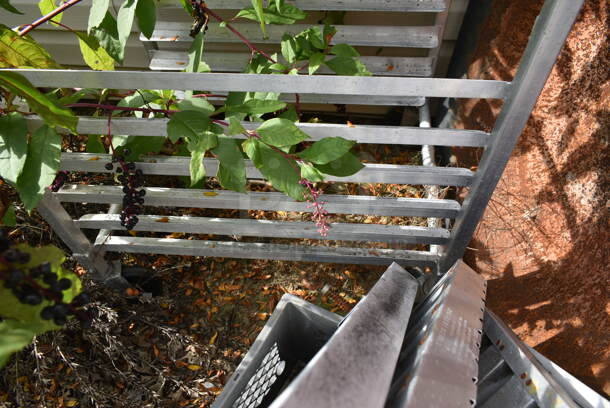 Metal Pan Rack. (outside) - Image 3 of 3