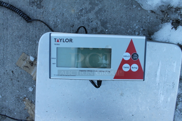 Taylor TE150 Stainless Steel Commercial 150 Pound Food Portioning Scale w/ Control Head. - Image 4 of 5