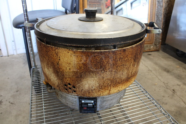 Rinnai Metal Countertop Gas Powered Rice Cooker on Burner. 24x20x16
