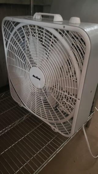 Fan