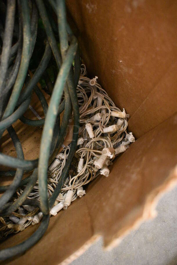 ALL ONE MONEY! Lot of Various Items Including Extension Cord and Lights - Image 3 of 4