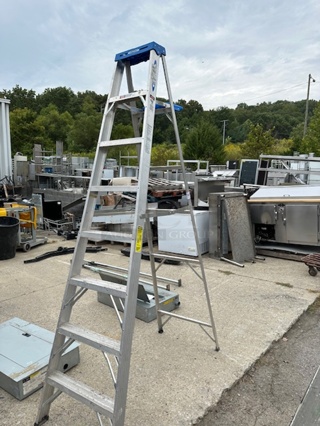 One Werner 8 Ft Ladder. 