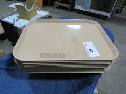 Lunch Tray. 12XBID