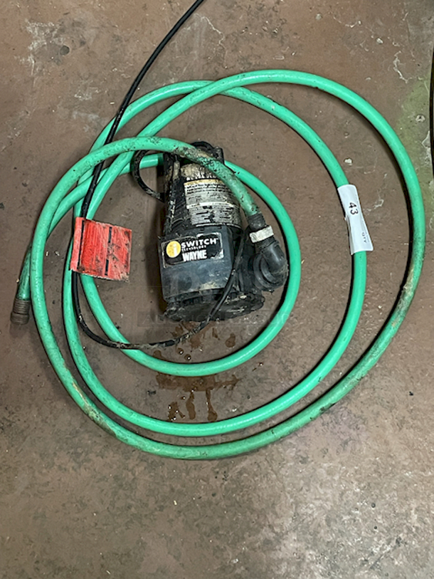 Wayne Utility Pump EEAUP250 1/4 HP Submersible Utility Pump With ISwitch Technology, Auto Turns Itself On and Off Once Water Is Pumped Down to 3/8 in. With Attached Green Garden Hose