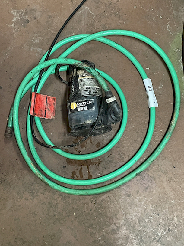 Wayne Utility Pump EEAUP250 1/4 HP Submersible Utility Pump With ISwitch Technology, Auto Turns Itself On and Off Once Water Is Pumped Down to 3/8 in. With Attached Green Garden Hose - Image 1 of 1