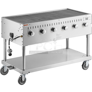 BRAND NEW SCRATCH AND DENT! Backyard Pro LPG48 48" Stainless Steel Liquid Propane Outdoor Grill. Goes GREAT w/ Lot 56!