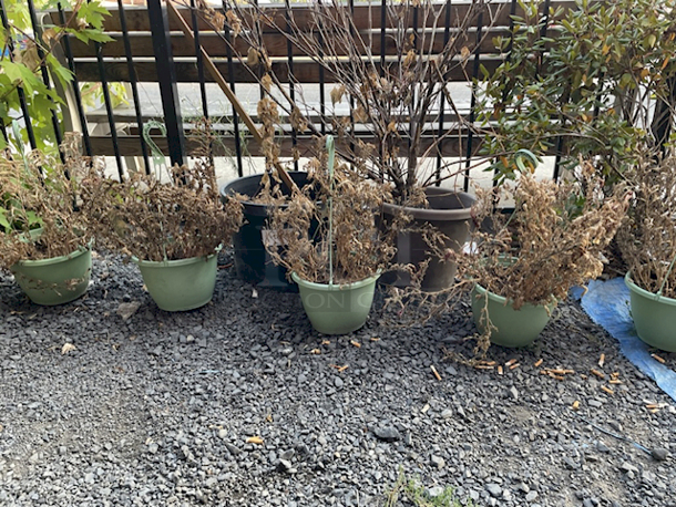 NICE!! (4) Hanging Planters, (2) Standard Planters, Plastic. 6x Your Bid - Image 1 of 2